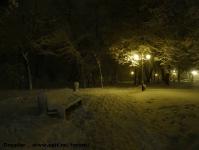 Imagine atasata: Zapada - 2014.12.28 - 170.jpg
